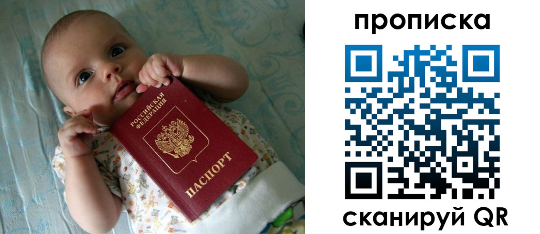 прописка поиск в Коркино